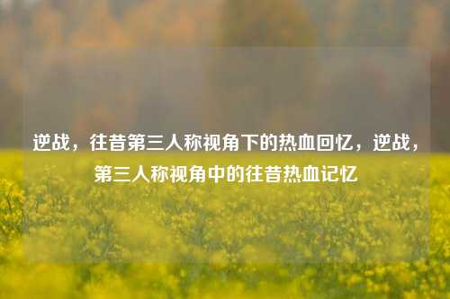 逆战，往昔第三人称视角下的热血回忆，逆战，第三人称视角中的往昔热血记忆