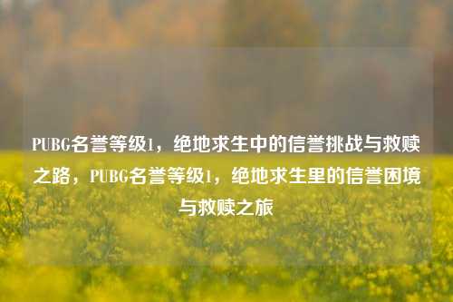 PUBG名誉等级1，绝地求生中的信誉挑战与救赎之路，PUBG名誉等级1，绝地求生里的信誉困境与救赎之旅