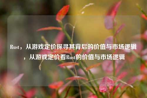 Rust，从游戏定价探寻其背后的价值与市场逻辑，从游戏定价看Rust的价值与市场逻辑