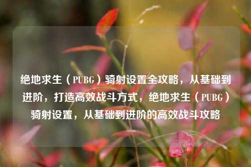 绝地求生（PUBG）骑射设置全攻略，从基础到进阶，打造高效战斗方式，绝地求生（PUBG）骑射设置，从基础到进阶的高效战斗攻略