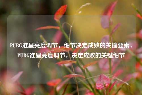 PUBG准星亮度调节，细节决定成败的关键要素，PUBG准星亮度调节，决定成败的关键细节