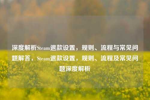 深度解析Steam退款设置，规则、流程与常见问题解答，Steam退款设置，规则、流程及常见问题深度解析