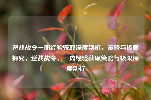 逆战战令一周经验获取深度剖析，策略与极限探究，逆战战令，一周经验获取策略与极限深度剖析