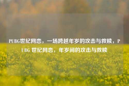 PUBG世纪网恋，一场跨越年岁的攻击与救赎，PUBG 世纪网恋，年岁间的攻击与救赎