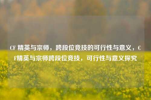 CF 精英与宗师，跨段位竞技的可行性与意义，CF精英与宗师跨段位竞技，可行性与意义探究