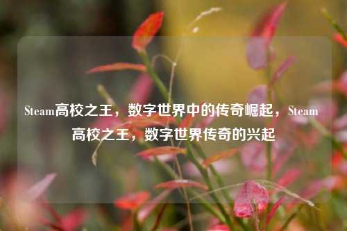 Steam高校之王，数字世界中的传奇崛起，Steam 高校之王，数字世界传奇的兴起