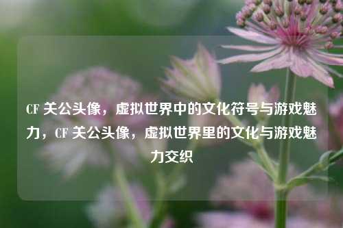 CF 关公头像，虚拟世界中的文化符号与游戏魅力，CF 关公头像，虚拟世界里的文化与游戏魅力交织