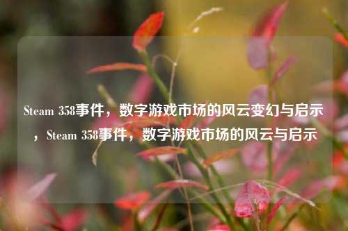 Steam 358事件，数字游戏市场的风云变幻与启示，Steam 358事件，数字游戏市场的风云与启示