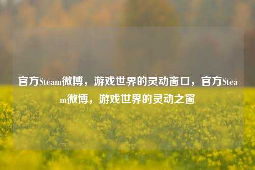 官方Steam微博，游戏世界的灵动窗口，官方Steam微博，游戏世界的灵动之窗