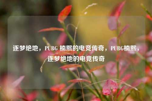 逐梦绝地，PUBG 楠熙的电竞传奇，PUBG楠熙，逐梦绝地的电竞传奇