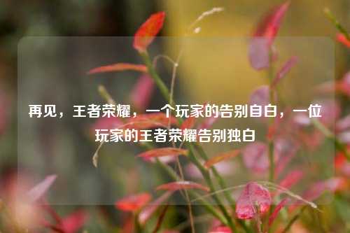 再见，王者荣耀，一个玩家的告别自白，一位玩家的王者荣耀告别独白