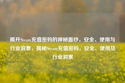 揭开Steam充值密码的神秘面纱，安全、使用与行业洞察，揭秘Steam充值密码，安全、使用及行业洞察