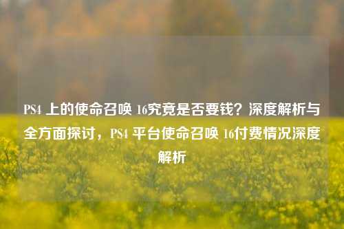 PS4 上的使命召唤 16究竟是否要钱？深度解析与全方面探讨，PS4 平台使命召唤 16付费情况深度解析