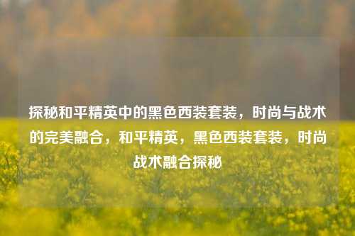 探秘和平精英中的黑色西装套装，时尚与战术的完美融合，和平精英，黑色西装套装，时尚战术融合探秘