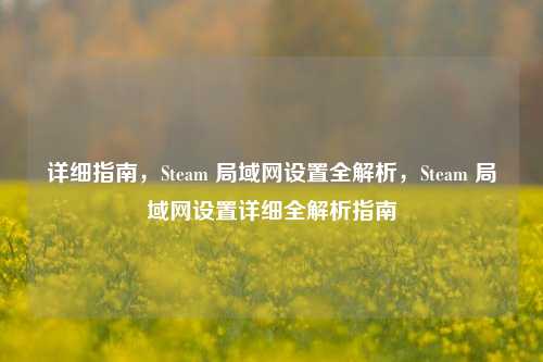 详细指南，Steam 局域网设置全解析，Steam 局域网设置详细全解析指南