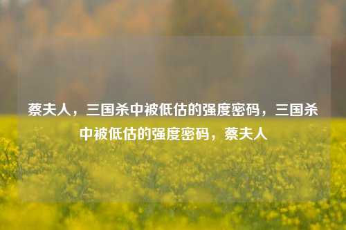 蔡夫人，三国杀中被低估的强度密码，三国杀中被低估的强度密码，蔡夫人