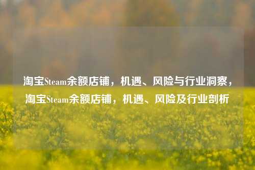 淘宝Steam余额店铺，机遇、风险与行业洞察，淘宝Steam余额店铺，机遇、风险及行业剖析