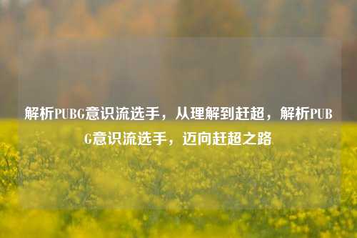 解析PUBG意识流选手，从理解到赶超，解析PUBG意识流选手，迈向赶超之路