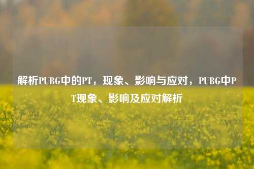 解析PUBG中的PT，现象、影响与应对，PUBG中PT现象、影响及应对解析