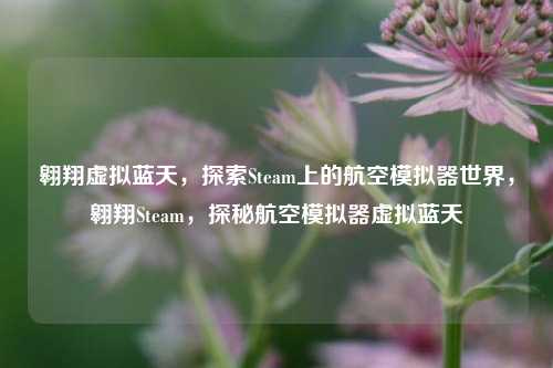 翱翔虚拟蓝天，探索Steam上的航空模拟器世界，翱翔Steam，探秘航空模拟器虚拟蓝天