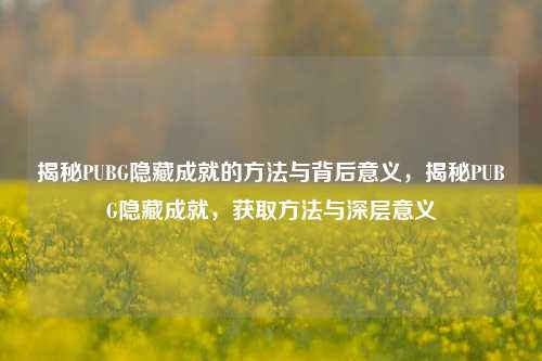 揭秘PUBG隐藏成就的方法与背后意义，揭秘PUBG隐藏成就，获取方法与深层意义