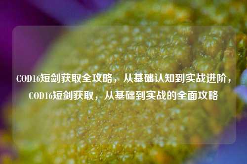 COD16短剑获取全攻略，从基础认知到实战进阶，COD16短剑获取，从基础到实战的全面攻略