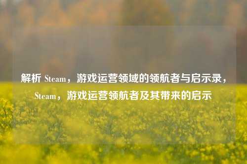 解析 Steam，游戏运营领域的领航者与启示录，Steam，游戏运营领航者及其带来的启示