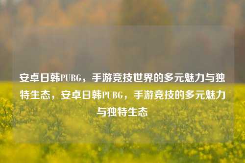 安卓日韩PUBG，手游竞技世界的多元魅力与独特生态，安卓日韩PUBG，手游竞技的多元魅力与独特生态