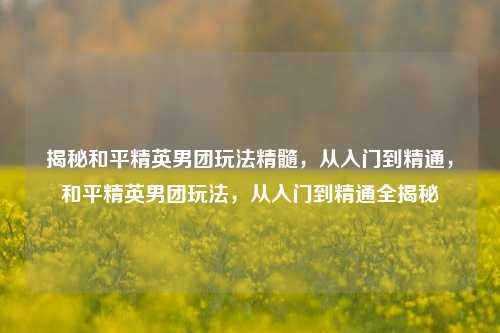 揭秘和平精英男团玩法精髓，从入门到精通，和平精英男团玩法，从入门到精通全揭秘