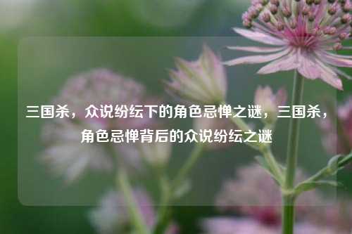 三国杀，众说纷纭下的角色忌惮之谜，三国杀，角色忌惮背后的众说纷纭之谜