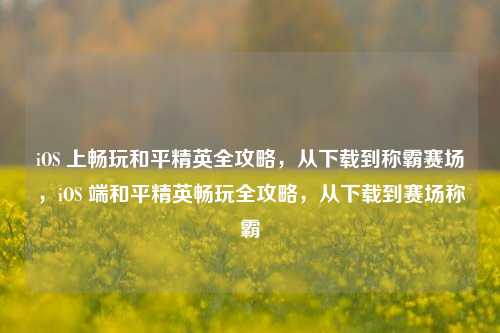 iOS 上畅玩和平精英全攻略，从下载到称霸赛场，iOS 端和平精英畅玩全攻略，从下载到赛场称霸