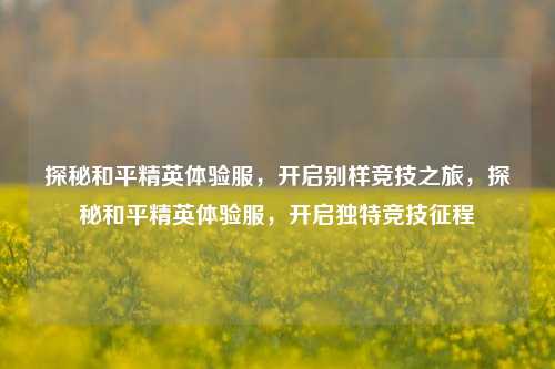 探秘和平精英体验服，开启别样竞技之旅，探秘和平精英体验服，开启独特竞技征程