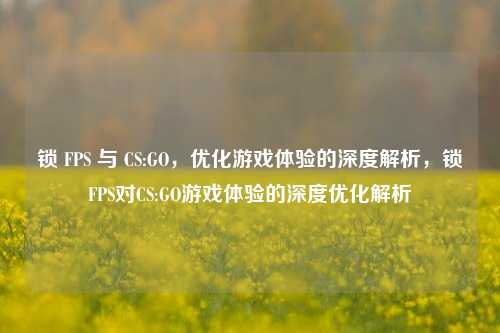 锁 FPS 与 CS:GO，优化游戏体验的深度解析，锁FPS对CS:GO游戏体验的深度优化解析