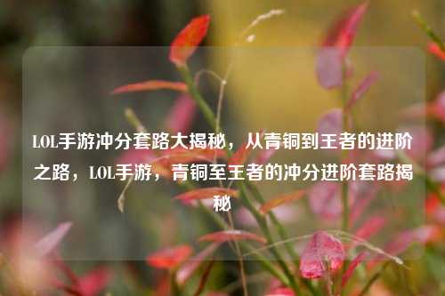 LOL手游冲分套路大揭秘，从青铜到王者的进阶之路，LOL手游，青铜至王者的冲分进阶套路揭秘