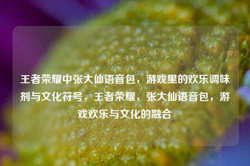 王者荣耀中张大仙语音包，游戏里的欢乐调味剂与文化符号，王者荣耀，张大仙语音包，游戏欢乐与文化的融合