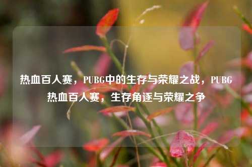 热血百人赛，PUBG中的生存与荣耀之战，PUBG热血百人赛，生存角逐与荣耀之争