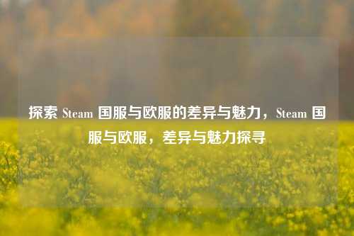 探索 Steam 国服与欧服的差异与魅力，Steam 国服与欧服，差异与魅力探寻