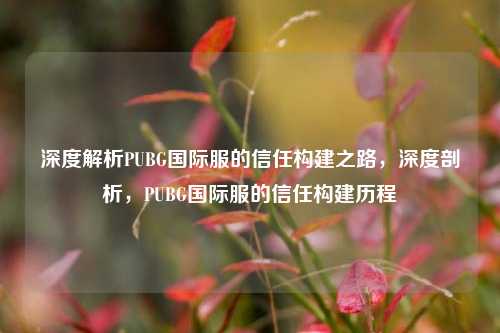 深度解析PUBG国际服的信任构建之路，深度剖析，PUBG国际服的信任构建历程