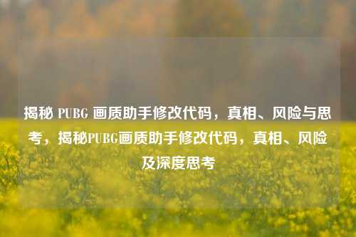 揭秘 PUBG 画质助手修改代码，真相、风险与思考，揭秘PUBG画质助手修改代码，真相、风险及深度思考
