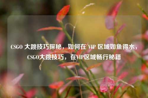 CSGO 大跳技巧探秘，如何在 VIP 区域如鱼得水，CSGO大跳技巧，在VIP区域畅行秘籍