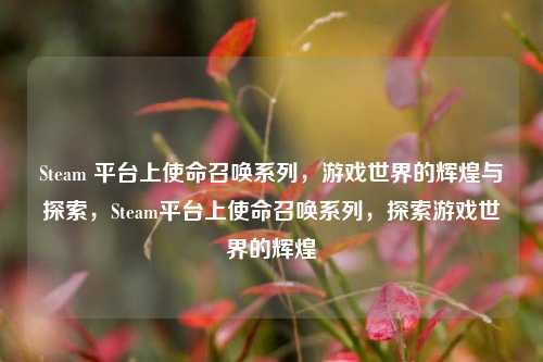 Steam 平台上使命召唤系列，游戏世界的辉煌与探索，Steam平台上使命召唤系列，探索游戏世界的辉煌