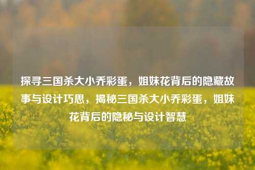 探寻三国杀大小乔彩蛋，姐妹花背后的隐藏故事与设计巧思，揭秘三国杀大小乔彩蛋，姐妹花背后的隐秘与设计智慧