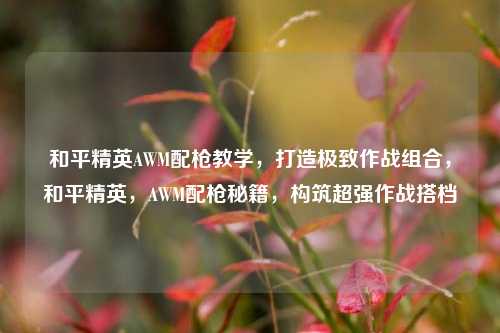 和平精英AWM配枪教学，打造极致作战组合，和平精英，AWM配枪秘籍，构筑超强作战搭档