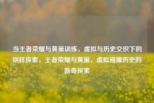 当王者荣耀与黄巢训练，虚拟与历史交织下的别样探索，王者荣耀与黄巢，虚拟碰撞历史的新奇探索
