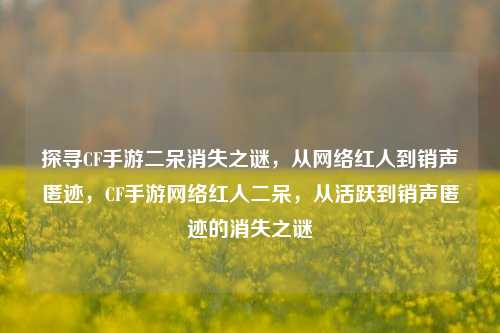 探寻CF手游二呆消失之谜，从网络红人到销声匿迹，CF手游网络红人二呆，从活跃到销声匿迹的消失之谜
