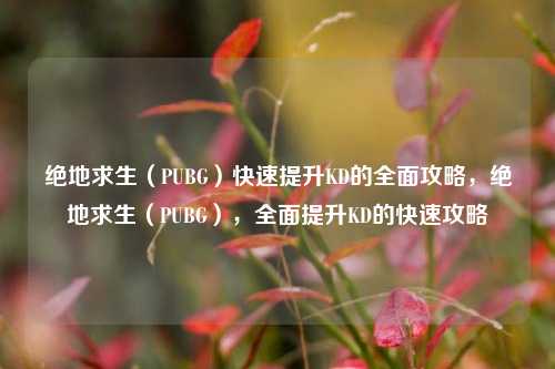 绝地求生（PUBG）快速提升KD的全面攻略，绝地求生（PUBG），全面提升KD的快速攻略