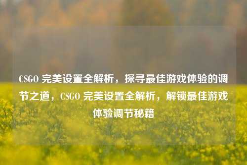 CSGO 完美设置全解析，探寻最佳游戏体验的调节之道，CSGO 完美设置全解析，解锁最佳游戏体验调节秘籍