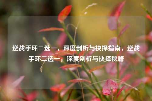 逆战手环二选一，深度剖析与抉择指南，逆战手环二选一，深度剖析与抉择秘籍