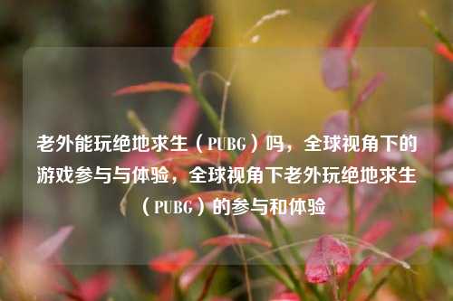 老外能玩绝地求生（PUBG）吗，全球视角下的游戏参与与体验，全球视角下老外玩绝地求生（PUBG）的参与和体验