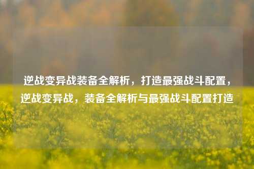 逆战变异战装备全解析，打造最强战斗配置，逆战变异战，装备全解析与最强战斗配置打造